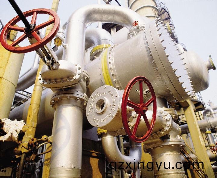 0080240025.jpg 0080240025.jpg