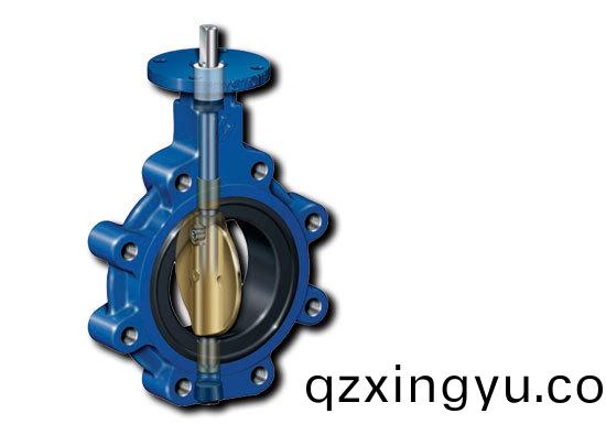 进(jin)口蝶(die)阀管(guan)道(dao)安(an)装说明书