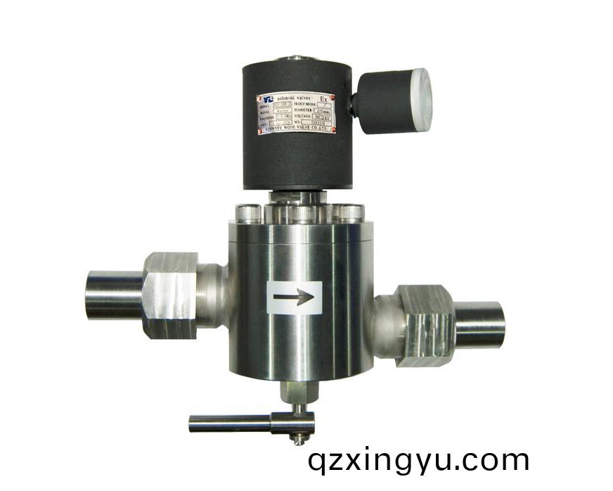 进口焊接高压电(dian)磁阀(fa)