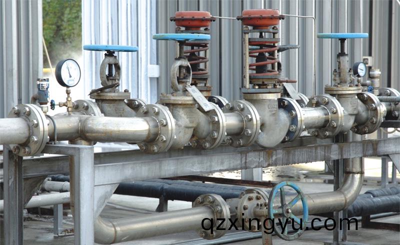 德(de)国(guo)沃德WODE的(de)蒸汽(qi)减(jian)压站在(zai)利(li)达食品(pin)集(ji)团的诸多(duo)工厂蒸汽(qi)车(che)间广泛应用