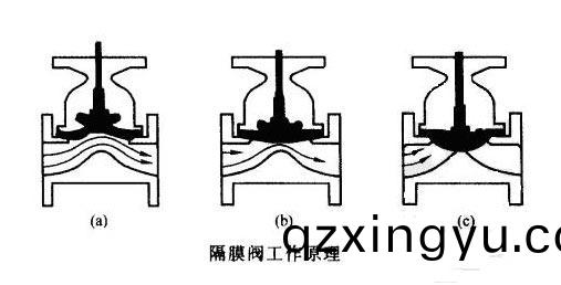 隔膜阀(fa)的(de)工作(zuo)原理(li)及(ji)组(zu)成3.jpg 隔膜阀(fa)的(de)工作原理(li)及组成(cheng)3.jpg