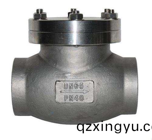 进口(kou)焊(han)接(jie)低(di)温止回(hui)阀