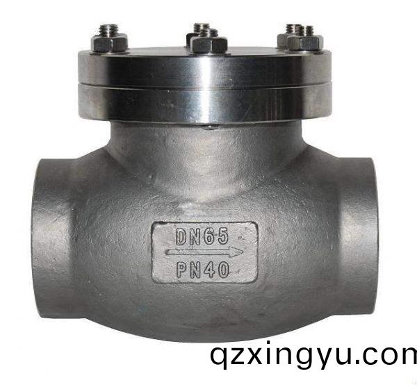 进口(kou)LNG液(ye)化(hua)天(tian)然气(qi)止回阀(fa)