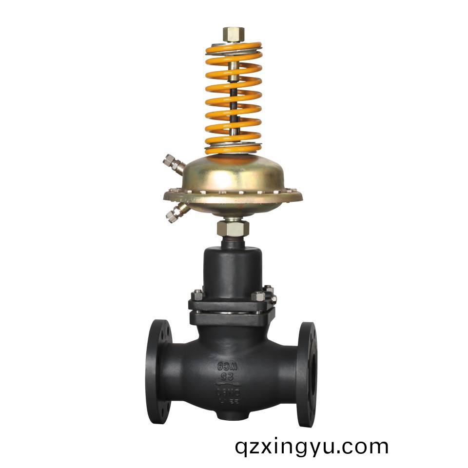 自(zi)力(li)式(shi)调(diao)节阀的(de)种(zhong)类结(jie)构及(ji)应用特(te)点