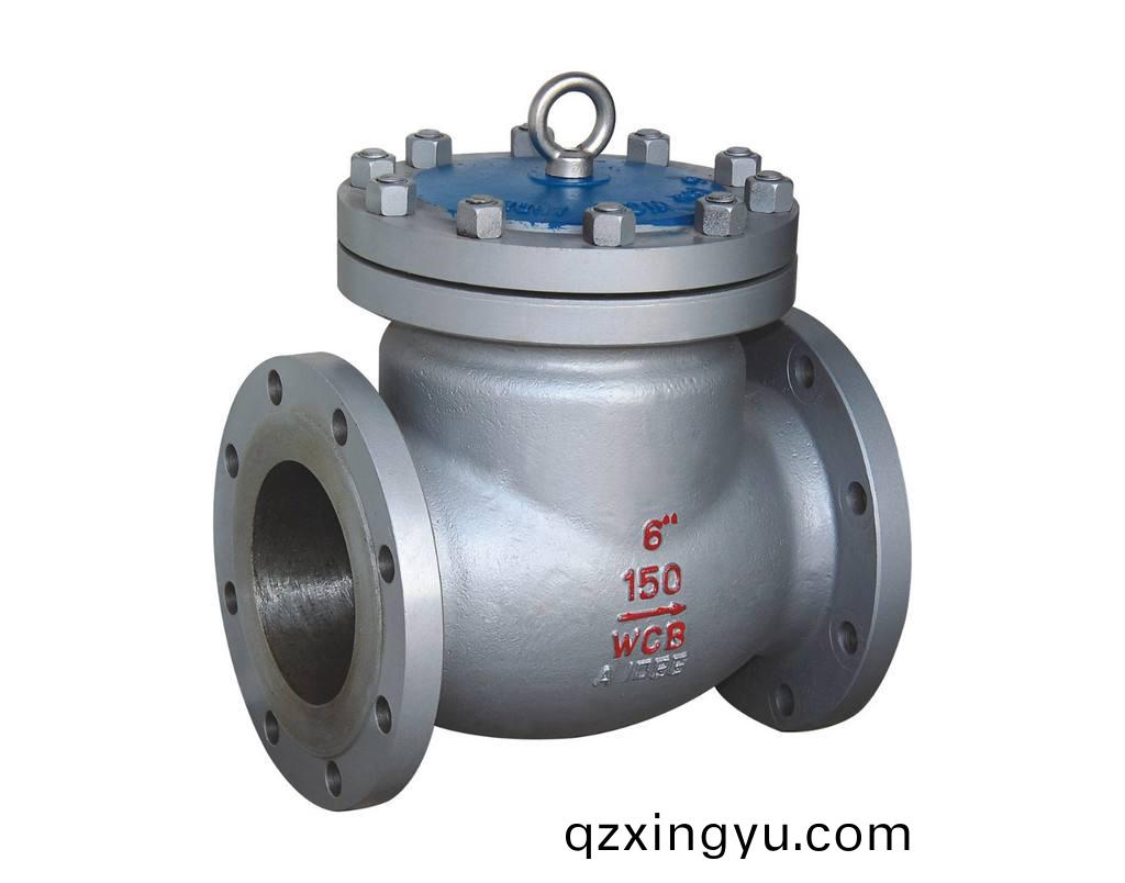 进口(kou)美标(biao)止回(hui)阀(fa)