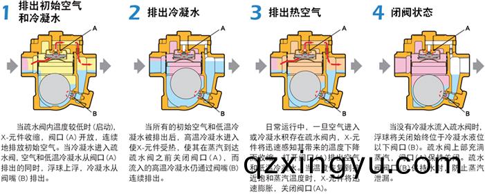 进口浮球疏水阀系(xi)统4.jpg 进(jin)口(kou)浮(fu)球(qiu)疏水(shui)阀(fa)系(xi)统(tong)4.jpg
