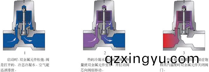 进(jin)口双(shuang)金属(shu)疏(shu)水阀系(xi)统3.jpg 进(jin)口(kou)双金(jin)属(shu)疏水(shui)阀系统(tong)3.jpg