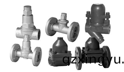 进口(kou)双金属疏水阀系(xi)统-蒸(zheng)汽(qi)疏水(shui)阀(fa)品(pin)牌